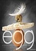 Egg (Hardcover) 