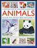 A Masterclass in Drawing & Painting Animals (Wildlife, Pets, Reptiles, Birds, Fish & Insects)