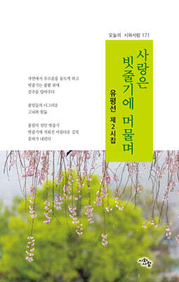 사랑은 빗줄기에 머물며