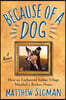 Because of a Dog: How an Enchanted Italian Village Mended a Broken Heart