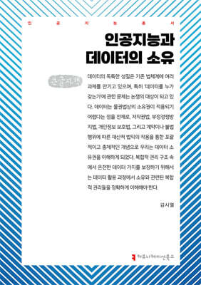 인공지능과 데이터의 소유 (큰글자책)