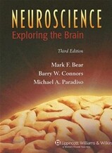 Neuroscience 3/E : Exploring the Brain