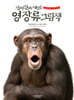 진짜 진짜 재밌는 영장류 그림책
