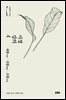 시경 강의 4