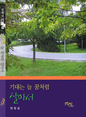 기대는 늘 꿈처럼 살아서