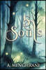 5 Souls