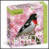 Audubon Birds Page-A-Day® Calendar 2026