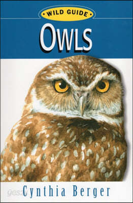 Wild Guide Owls