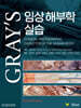 GRAY’S 임상 해부학 실습