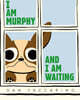 I Am Murphy and I Am Waiting