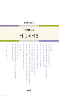 몇 번의 여름