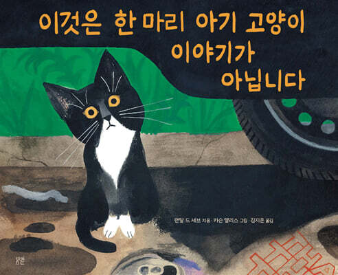 이것은 한 마리 아기 고양이 이야기가 아닙니다