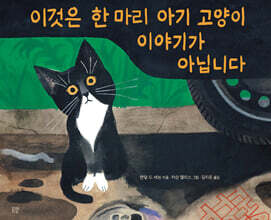이것은 한 마리 아기 고양이 이야기가 아닙니다