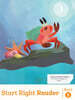 Into Reading Start Right Reader Grade 2.5