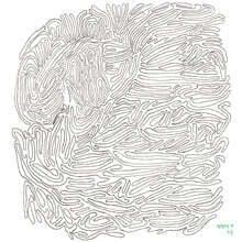 정원영 - 소풍 [CD + 마블 컬러 LP]