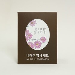 ������ ���� ��Ʈ