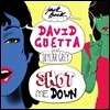 David Guetta - Shot Me Down (Feat. Skylar Grey)