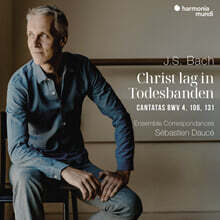 Sebastien Dauce 바흐: 종교 칸타타 BWV 4, 106, 131 (Bach: Christ Lag in Todesbanden Cantatas Bwv 4, 106, 131)