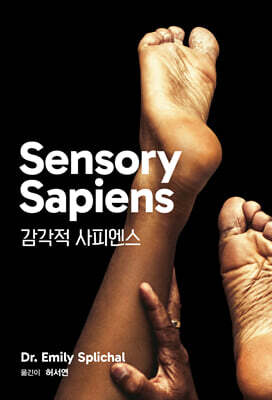 감각적 사피엔스