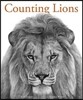 Counting Lions: Portraits from the Wild