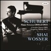 Shai Wosner 슈베르트: 피아노 소나타 15번, 17번 (Schubert : Piano Sonatas D 840 & D 850)
