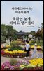 국화는 늦게 피어도 향기롭다