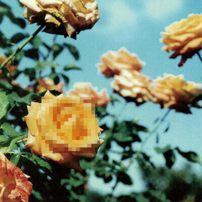 globe (글로브) - Relation [2LP]