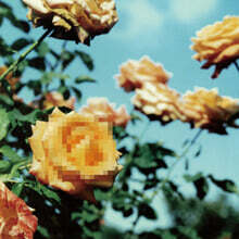 globe (글로브) - Relation [2LP]