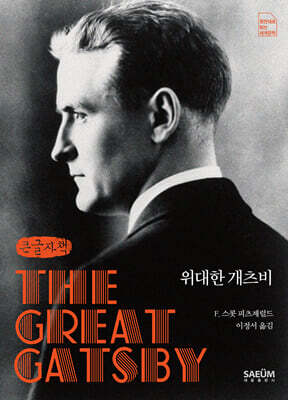 위대한 개츠비 (큰글자책)