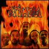 Stimela - Fire, Passion, Ecstasy (LP)