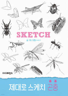 제대로 스케치 곤충