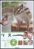 リス 住まい,食べ物,接し方,病氣のこと