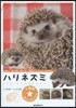ハリネズミ 住まい,食べ物,接し方,病氣