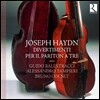 Guido Balestracci 하이든: 바리톤 삼중주를 위한 디베르티멘토 (Haydn: Divertimentos for Baryton Trio)