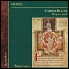 Millenarium 카르미나 부라나 - 중세 음악의 영원한 로망 (Carmina Burana - Tempus Transit)