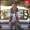 Pavel Sporcl 바이올린으로 연주하는 집시 음악 (Gipsy Fire - Live Recording)
