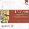 Philippe Herreweghe 바흐: 마그니피카트, 크리스마스 칸타타 (Bach: Magnificat BWV243a, Christmas Cantata BWV63)