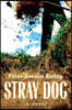 Stray Dog