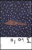 이어도