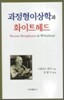 과정 형이상학과 화이트 헤드