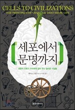 세포에서 문명까지