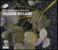 Royal Philharmonic Orchestra 본 윌리엄스: The Wasps (Vaughan Willams: The Wasps)