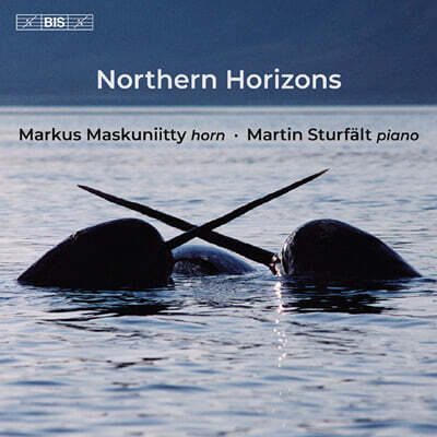 Markus Maskuniitty / Martin Sturfalt (마르쿠스 마스쿠니티 / 마르틴 스투르펠트) - 북부의 수평선 (Northern Horizons) [SACD Hybrid]
