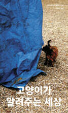 고양이가 알려주는 세상