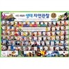 [헤밍웨이] 사진 세밀화 생태 자연관찰 (전93권)