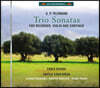 Fabio Biondi / Tripla Concordia 텔레만: 삼중주 소나타 (Telemann: Trio Sonatas)