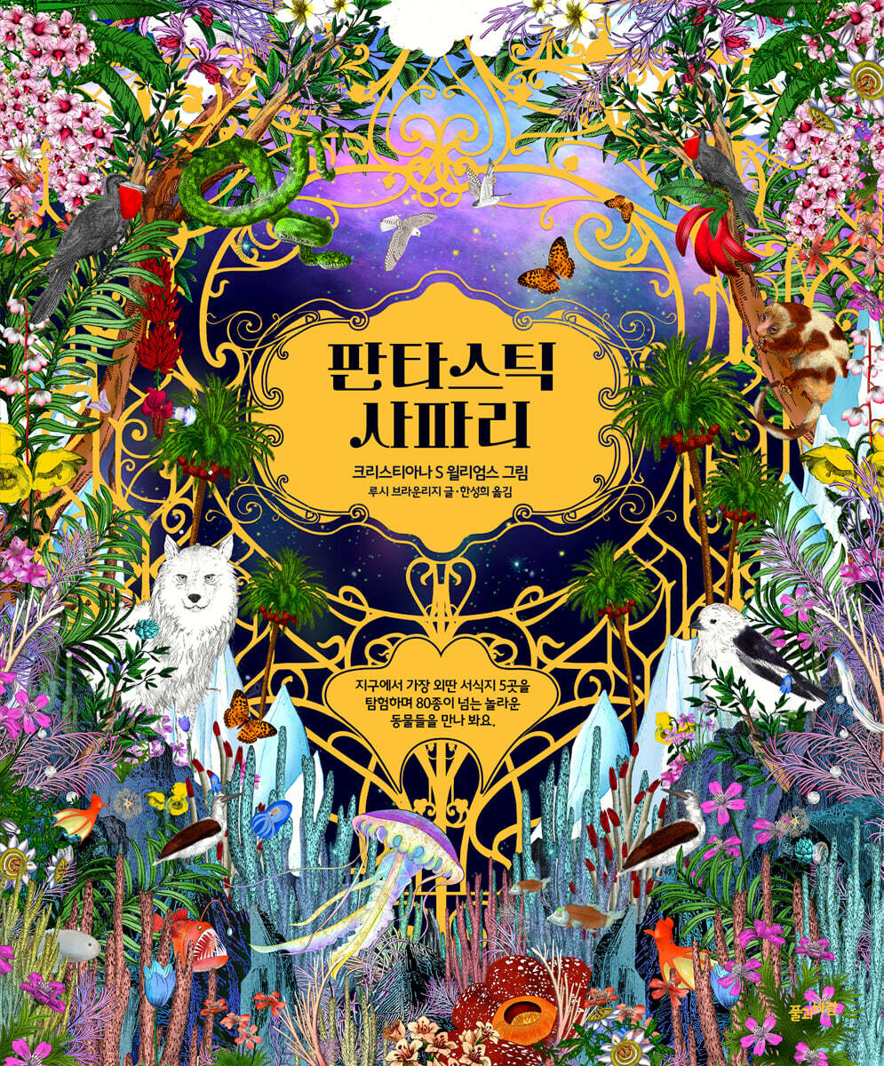 판타스틱 사파리