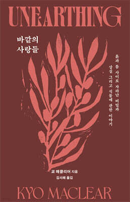 바깥의 사랑들