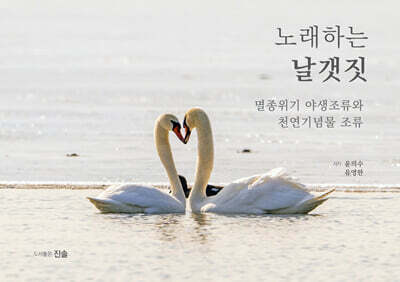 노래하는 날갯짓