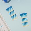 툴러 워터 미니 플래그